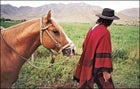 At home on the range, Salta