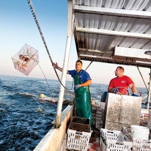 Crabber on Bayou Lafourche