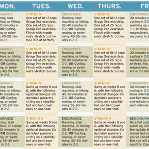 Weeks 5-8