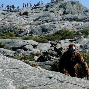 Bigfoot on Mount Monadnock