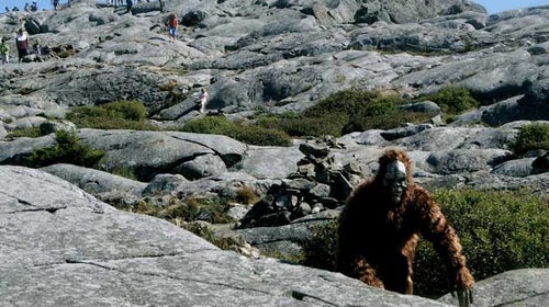 Bigfoot on Mount Monadnock