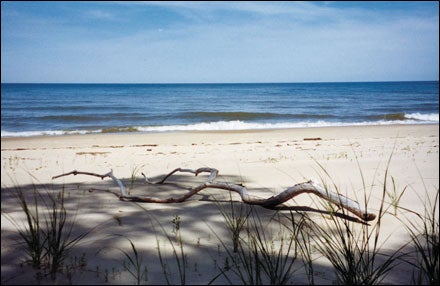 Lake Michigan