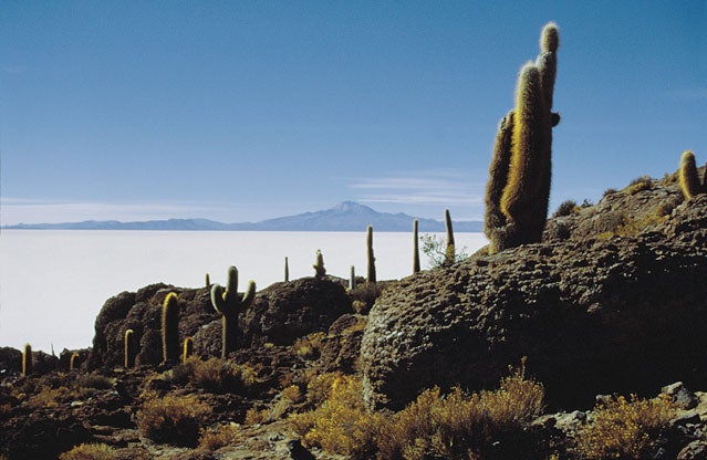 Salar de Uyuni