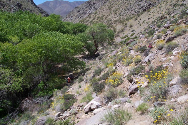 Death Valley National Park