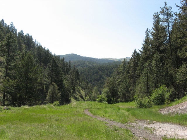 Helena National Forest