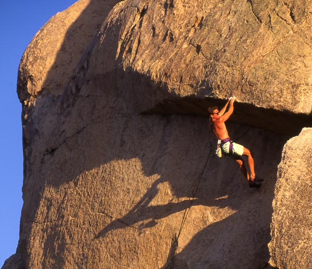 Joshua Tree