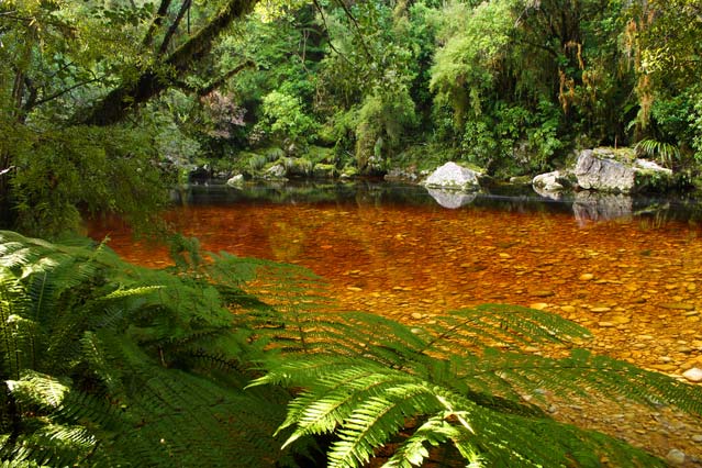 Kahurangi National Park