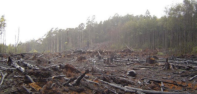 The End of Nature: How Did Things Get This Bad?