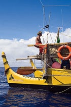 Sesario at his navigating post