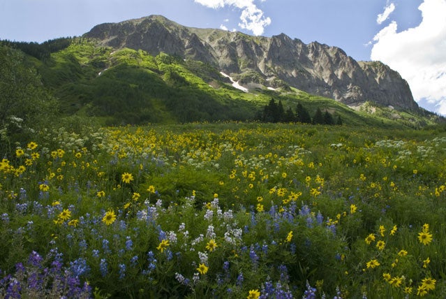 Crested Butte Colorado