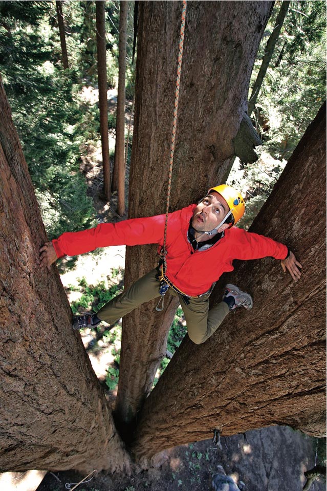 Climbing at Sequoia Crest, California