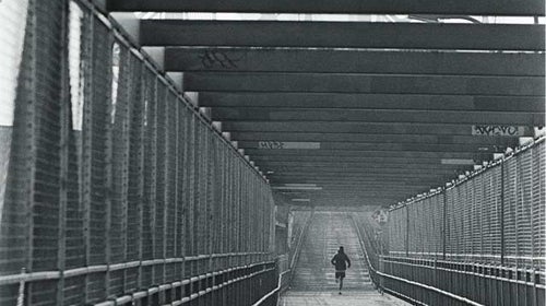 In recent studies exercise has been show to counteract the ravages of air pollutio