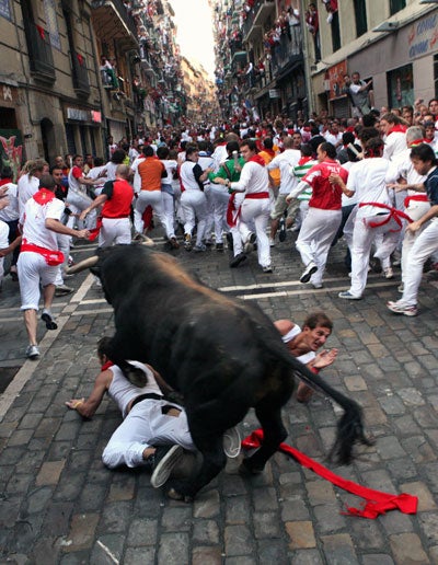 Quick Guide. What is the Running of the Bulls 