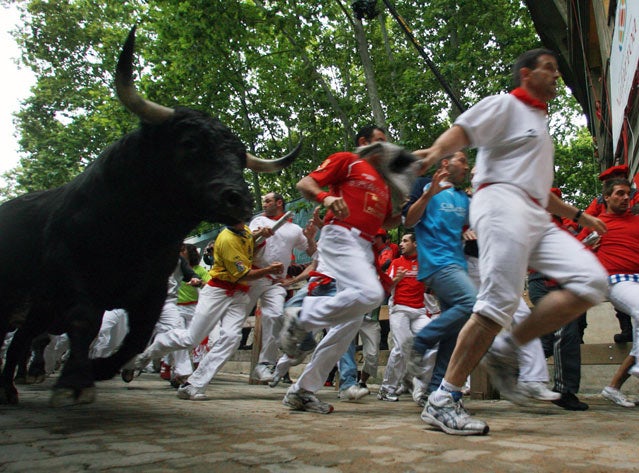 Pamplona bull run