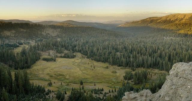 Looking out from the Pacific Crest Trail.