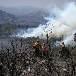 Firefighters take a break from