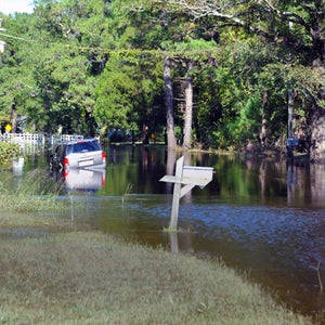 Local flooding in North Carolina.