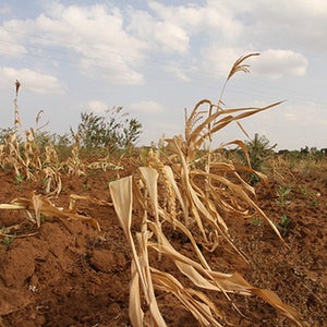 The U.S. is baking in the heat