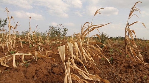 The U.S. is baking in the heat