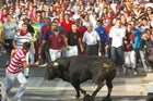 A lone bull on the streets of Cu茅llar.