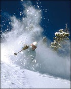 Powder Skiing