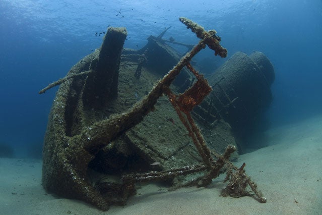 The Marine Treasure Seekers