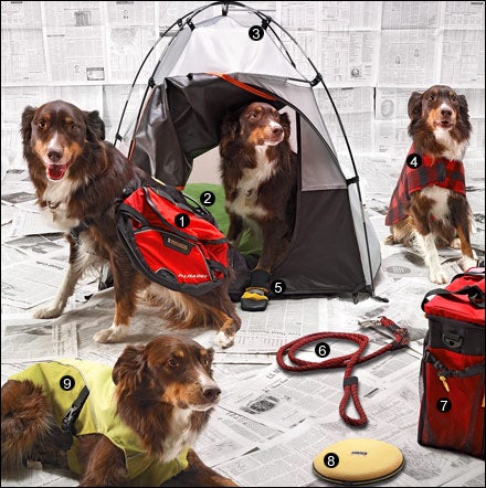 Dog 2024 swag tent