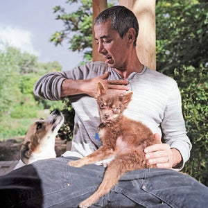 Animal Rescue