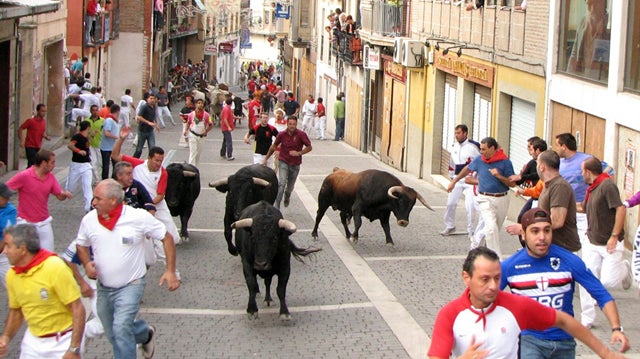 The Oldest Running of the Bulls