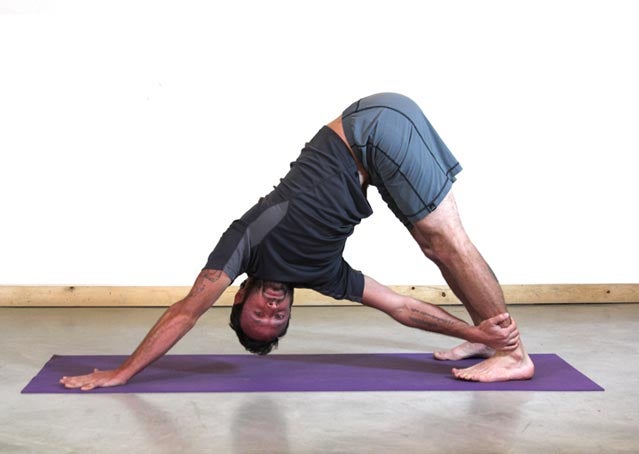 Top 7 Yoga Poses for Beginners & Benefits - Himalayan Yoga Association (Yoga  Ashram)