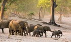 Namibia Africa Susuwe Islands I