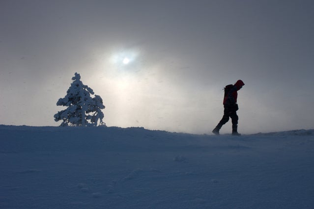 Dress warm to survive.