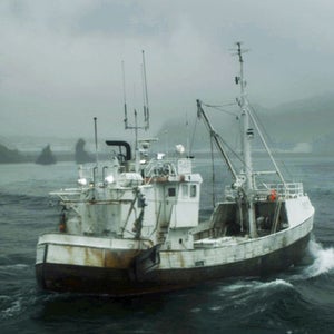 The Deep Toronto Film Festival Iceland water swimming