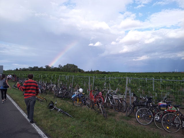 Germany's Drunk Bike-Riding Day