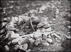 An offering at the medicine wheel.