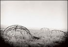 Sweat lodge frames in Ulm Pishkun State Park.