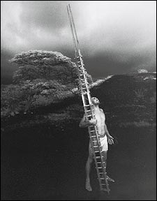 CARRY A BIG STICK: Stone, with a he'e holua sled, in Keauhou, Hawaii