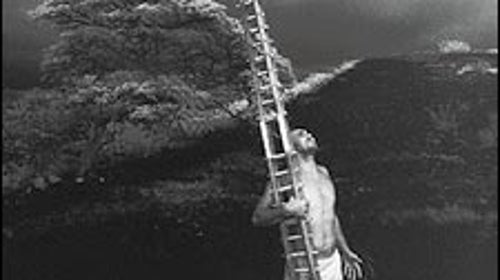 CARRY A BIG STICK: Stone, with a he'e holua sled, in Keauhou, Hawaii