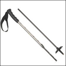 Indigo Epic Adjustable Ski Poles