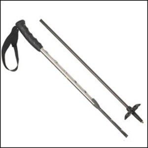 Indigo Epic Adjustable Ski Poles
