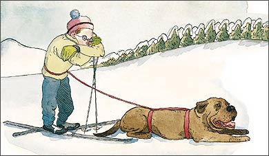 Skijoring: A One-Dog Open Sleigh