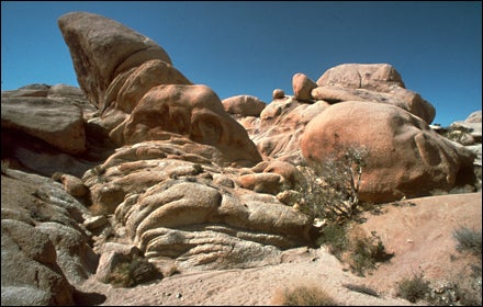 Joshua Tree National Park