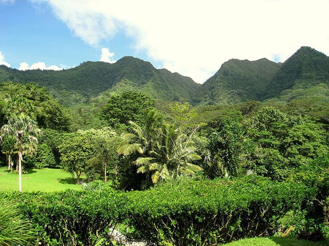 University of Hawaii, Manoa.