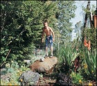 Wacth this! Roger cavorting in the family garden