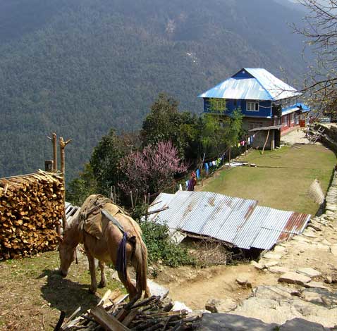 Nepal