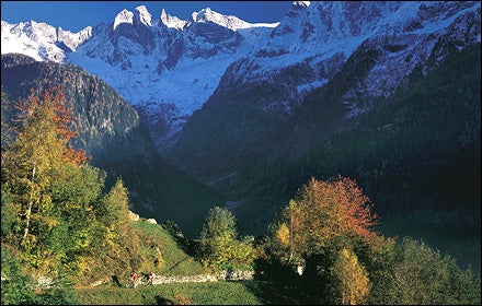 Mountain Bikers