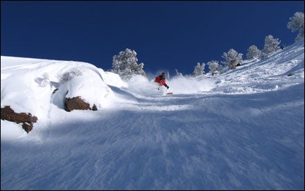 Carving fresh tracks at Snowbird, Utah