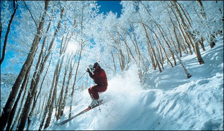 Skiing the trees at Aspen, Colorado