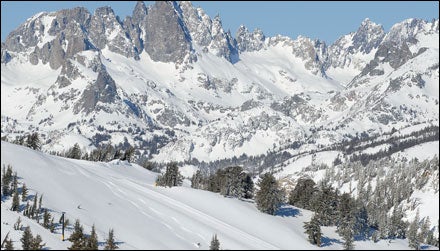 Fresh Powder at Mammoth, California