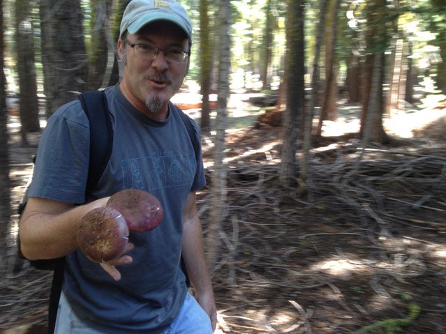 Feasting in the Forest